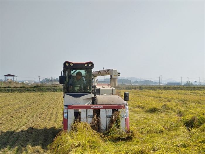 농촌지도자회 공동운영답 벼베기